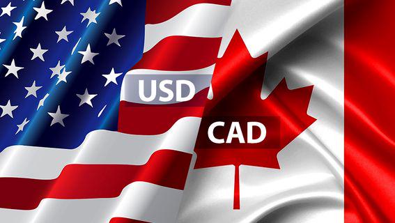 تحليل زوج الدولار كندي اليوم 18-7-2018