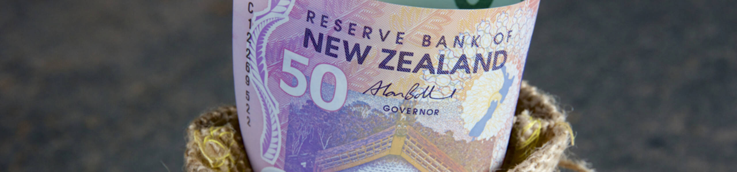 Will the NZD rise at the beginning of 2019?