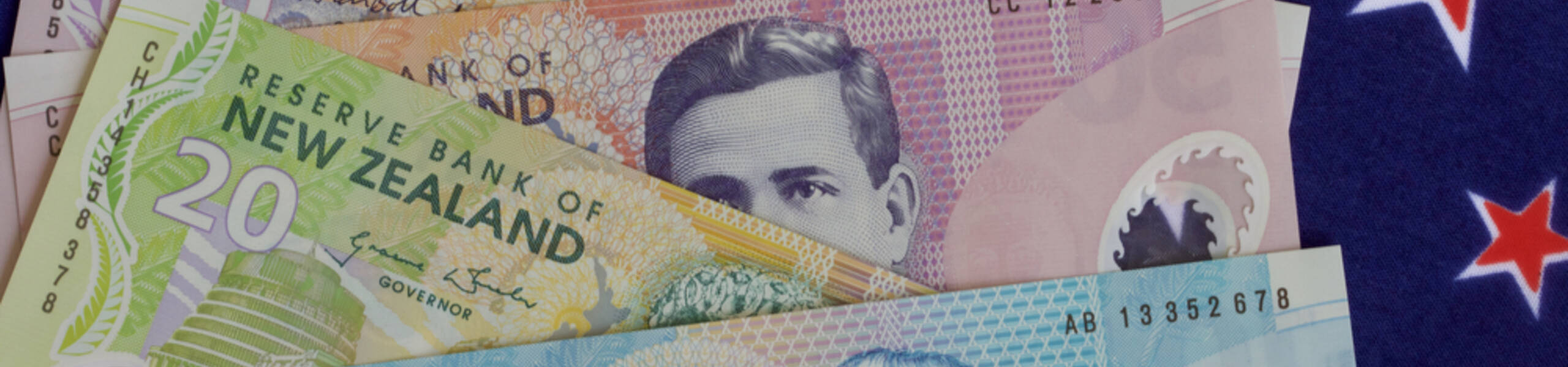  الدولار النيوزيلندي يهبط لأدنى مستوياته خلال أسبوعين 